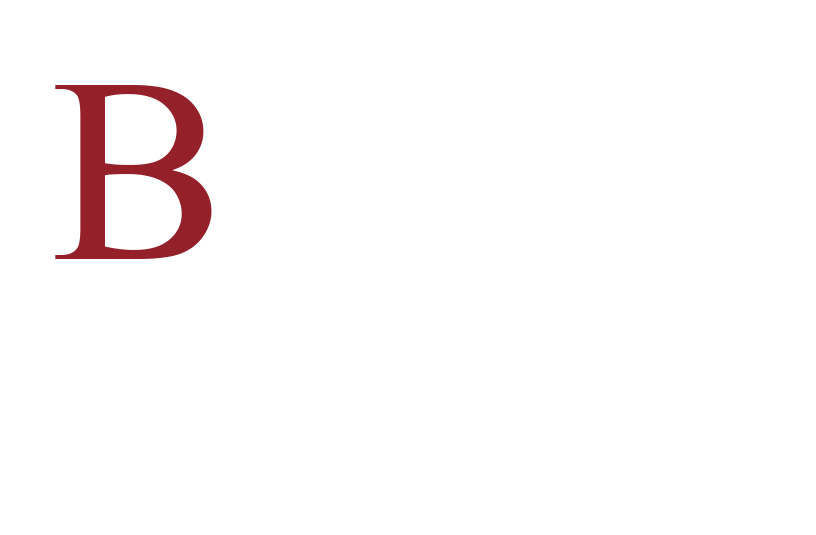 Bahn Investment